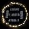 17Ft 50 LED Fairy String Lights with Clear Clips - Perfect for Dorm, Bedroom, Wedding Decor& Organizer Storage Tote Bag
